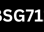 BSG711